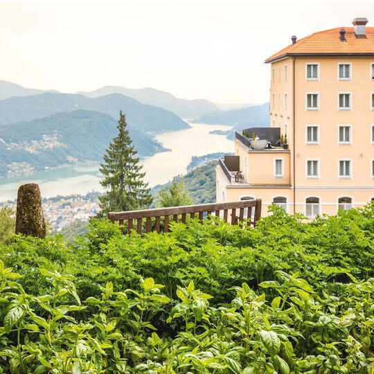 BERNINA & Wellness image number